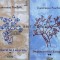 Dictionarul lui Lempriere Vol. 1-2 - 1997 - Lawrence Norfolk (N96)