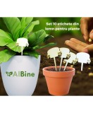 Set 10 etichete din lemn pentru plante &ndash; 8,5x4 cm, ecologice, reutilizabile, Oem