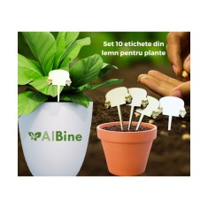 Set 10 etichete din lemn pentru plante &ndash; 8,5x4 cm, ecologice, reutilizabile