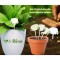 Set 10 etichete din lemn pentru plante &ndash; 8,5x4 cm, ecologice, reutilizabile