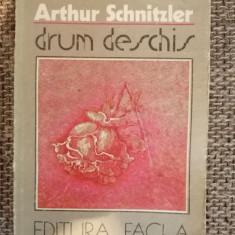 Drum deschis - Arthur Schnitzler