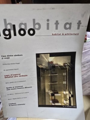 Revista Igloo nr. 11/2002 foto