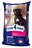 Cumpara ieftin Club 4 Paws Hrana uscata juniori de talie mare, 14kg