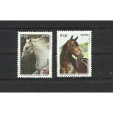 BRAZILIA 2016 FAUNA ANIMALE DOMESTICE CAI