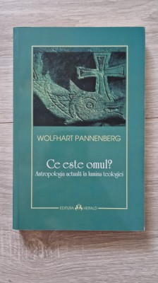 CE ESTE OMUL? - Pannenberg foto