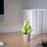Decor plante artificiale - ghiveci cu flori - 12 x 18 cm - 4 tipuri Best CarHome, Oem
