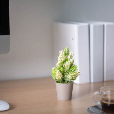 Decor plante artificiale - ghiveci cu flori - 12 x 18 cm - 4 tipuri Best CarHome