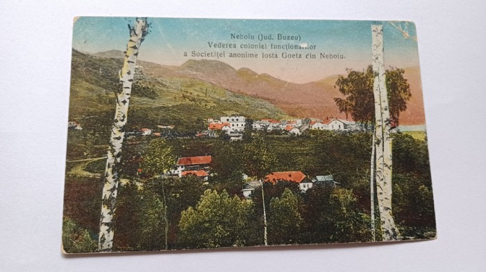 Nehoiu- Colonia functionarilor-circulata