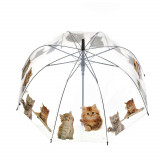 Umbrela transparenta cu pisici