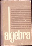 ALGEBRA-ION D. ION, NICOLAE RADU-341058