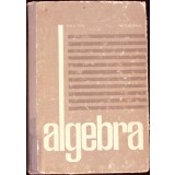 ALGEBRA-ION D. ION, NICOLAE RADU-341058