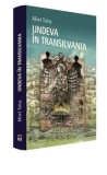 Cumpara ieftin Undeva in Transilvania/Mirel Talos, Rao