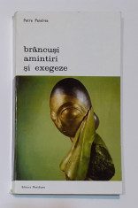 Petre Pandrea - Brancusi, Amintiri Si Exegeze (Biblioteca de arta Nr. 177) foto