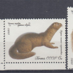 URSS RUSIA 1980 FAUNA ANIMALE SALBATICE SERIE MNH