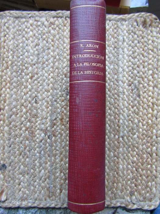 Introducci&oacute;n a la Filosof&iacute;a de la Historia Raymond Aron