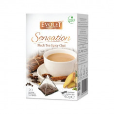 Ceai negru Black Tea Spicy Chai Evolet Sensation piramida 20 plicuri foto