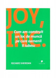 Joy, Inc. Cum am construit un loc de muncă pe care oamenii &icirc;l iubesc - Paperback brosat - Richard Sheridan - Publica