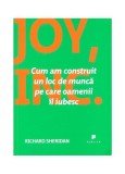 Joy, Inc. Cum am construit un loc de muncă pe care oamenii &icirc;l iubesc - Paperback brosat - Richard Sheridan - Publica