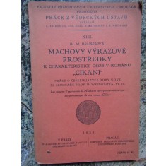 M&aacute;chovy v&yacute;razov&eacute; prostředky k charakteristice osob v rom&aacute;nu Cik&aacute;ni