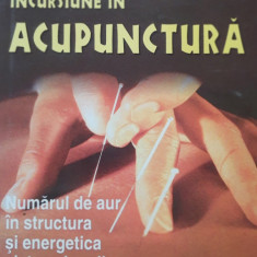 Dan Vlad Filimon, Vasile Postolica - Incursiune in ACUPUNCTURĂ