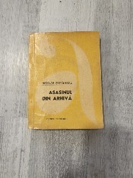 Asasinul din arhiva de Nicolae Stefanescu