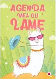 Cumpara ieftin Agenda mea cu lame/***