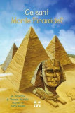 Ce sunt Marile Piramide?, Pandora-M