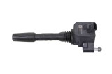 Bobina de inducție de &icirc;naltă tensiune BMW 4 Coupe F32, F82 2019 OEM: 7619385 27965910