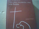 Preot Dr. Vasile Gavrila - PRIN USILE POCAINTEI - PASI SPRE INVIERE ( 2010 ), Alta editura