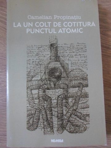 LA UN COLT DE COTITURA. PUNCTUL ATOMIC-CAMELIAN PROPINATIU-234501
