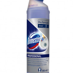 Detartrant pentru toaleta Domestos Professional, 0.75L