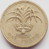 2529 Marea Britanie UK Anglia 1 Pound 1985 Elizabeth II ( Welsh Leek) km 941, Europa