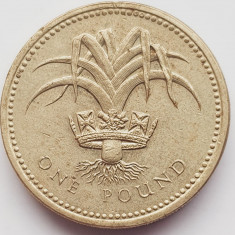 2529 Marea Britanie UK Anglia 1 Pound 1985 Elizabeth II ( Welsh Leek) km 941