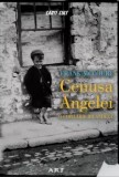 Cumpara ieftin Cenusa Angelei. O copilarie irlandeza/Frank McCourt