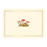 Mushrooms Note Cards