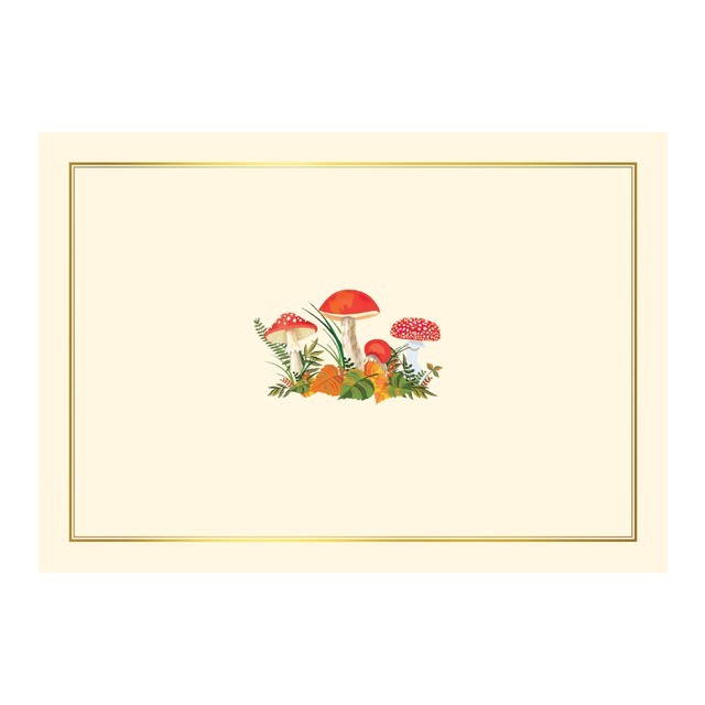 Mushrooms Note Cards