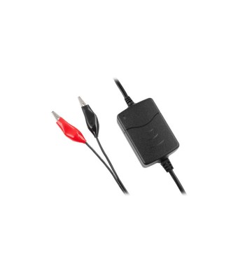 Incarcator acumulatori plumb 12V pentru max.7Ah cu debransare Vipow foto