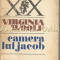 Camera Lui Jacob - Virgnia Woolf