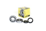 Set rulmenti ambielaj Kawasaki KX 125 88-08 ProX 23.CBS42088