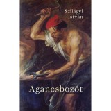 Agancsboz&oacute;t - Szil&aacute;gyi Istv&aacute;n