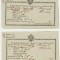 Transilvania 1832 doua documente de acces targul de vite Orastie limba germana