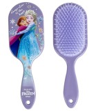 Perie Mare pentru Păr din Carton Frozen