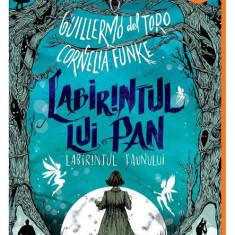 Labirintul lui Pan: Labirintul faunului - HC - Hardcover - Cornelia Funke, Guillermo del Toro - Arthur