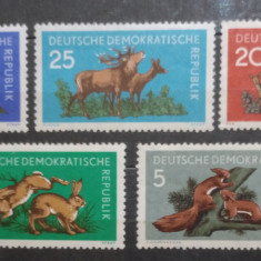 Germania DDR fauna animale Râs,cerbi,căprioare iepuri SERIE 5v mnh