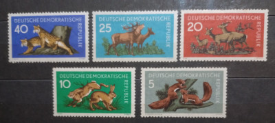 Germania DDR fauna animale R&amp;acirc;s,cerbi,căprioare iepuri SERIE 5v mnh foto