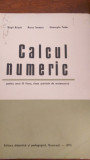 Calcul numeric manual clasa speciala de matematica an.III 1973