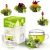 Set cadou ceai infloritor Creano Teelini, cana sticla 200 ml cu capac, 8 plicuri ceai verde