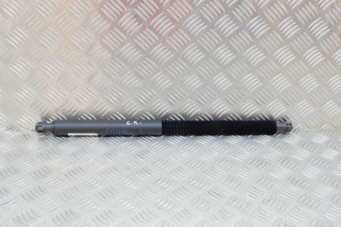 Amortizor haion st&acirc;nga BMW X3 G01, F97 2019 OEM: 7397319 13157007