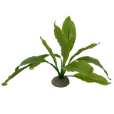 Cumpara ieftin Planta Artificiala Echinodorus 2 Verde 24 cm 242 468258