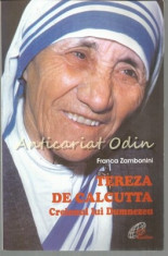 Tereza De Calcutta. Creionul Lui Dumnezeu - Franca Zambonini foto